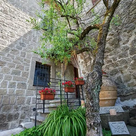 Ecclesia Apartment Montefiascone